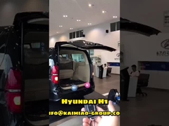 Αυτόματος Tailgate της Hyundai H1 ανελκυστήρας με διπλό Πολωνό σφαιρικό αυτοκίνητο Aftermarket